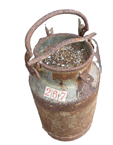 Alte milchkanne 20l - alte,